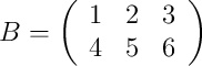 B = 
\left(
\begin{array}{ccc}
1 & 2 & 3\\
4 & 5 & 6 
\end{array}
\right)
