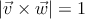 |\vec{v} \times \vec{w}|=1