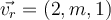 \vec{v_r}=(2,m,1)