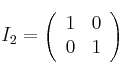 I_2=\left(
\begin{array}{cc}
        1 & 0 
    \\ 0 & 1    
\end{array}
\right)