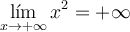 \lim_{x \rightarrow +\infty} x^2 = +\infty