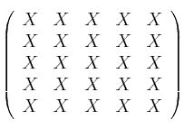 \left(
\begin{array}{ccccc}
     X & X & X & X & X
  \\X & X & X & X & X 
  \\X & X & X & X & X 
  \\X & X & X & X & X 
  \\X & X & X & X & X 
\end{array}
\right)