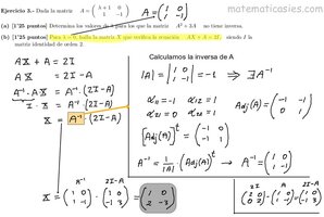 SOLUCIÓN b)