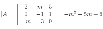 |A|=
\left|
\begin{array}{ccc}
     2 & m & 5
  \\ 0 & -1 & 1
  \\ -m & -3 & 0
\end{array}
\right| = -m^2-5m+6