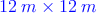 \textcolor{blue}{12\:m \times 12\:m} 